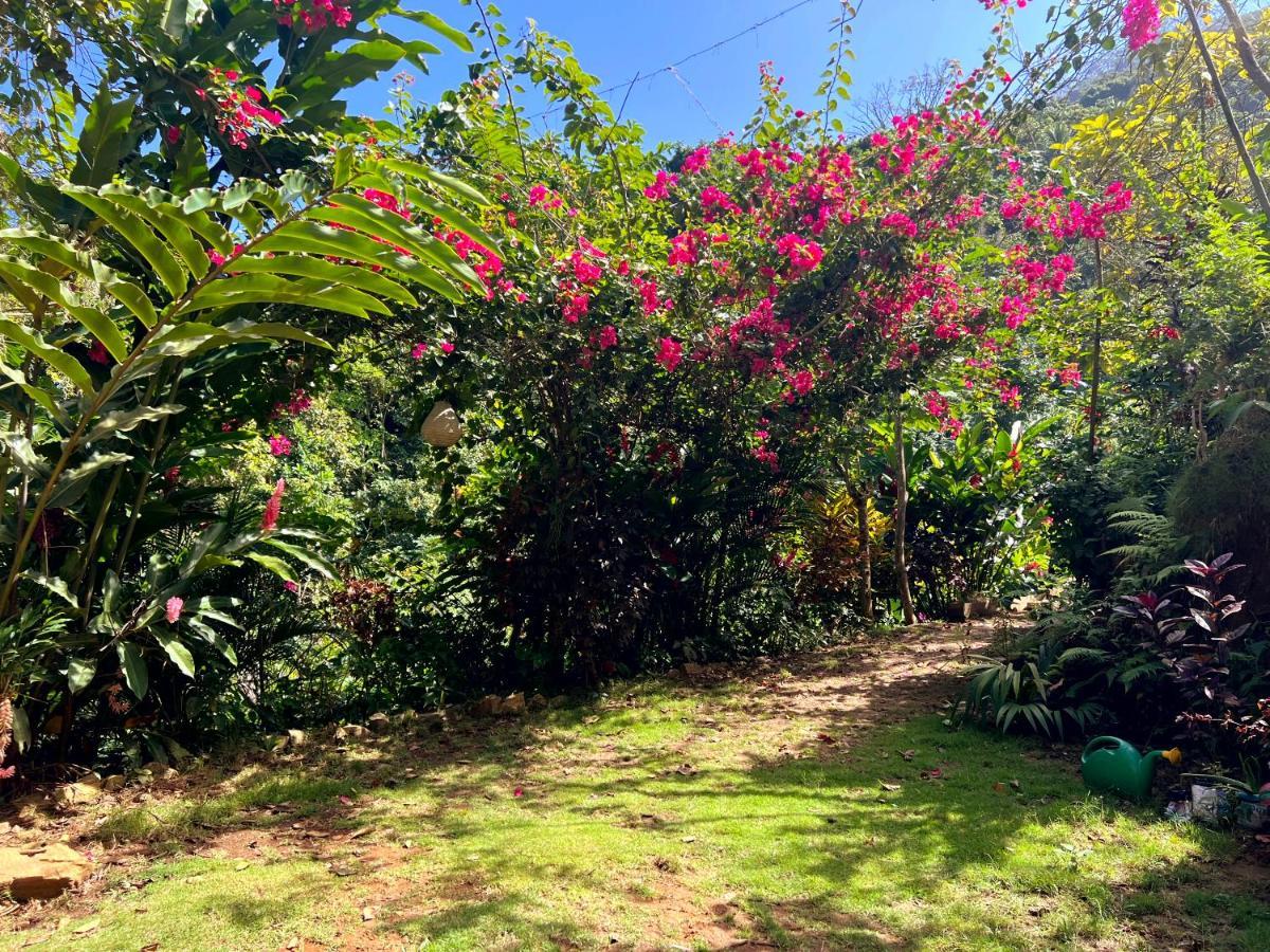 Finca La Selvita Chocolate Experience Buritaca Exterior foto