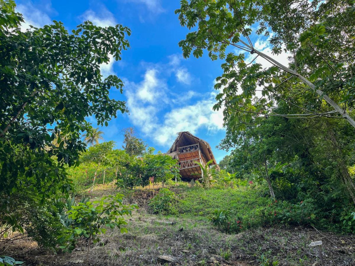 Finca La Selvita Chocolate Experience Buritaca Exterior foto