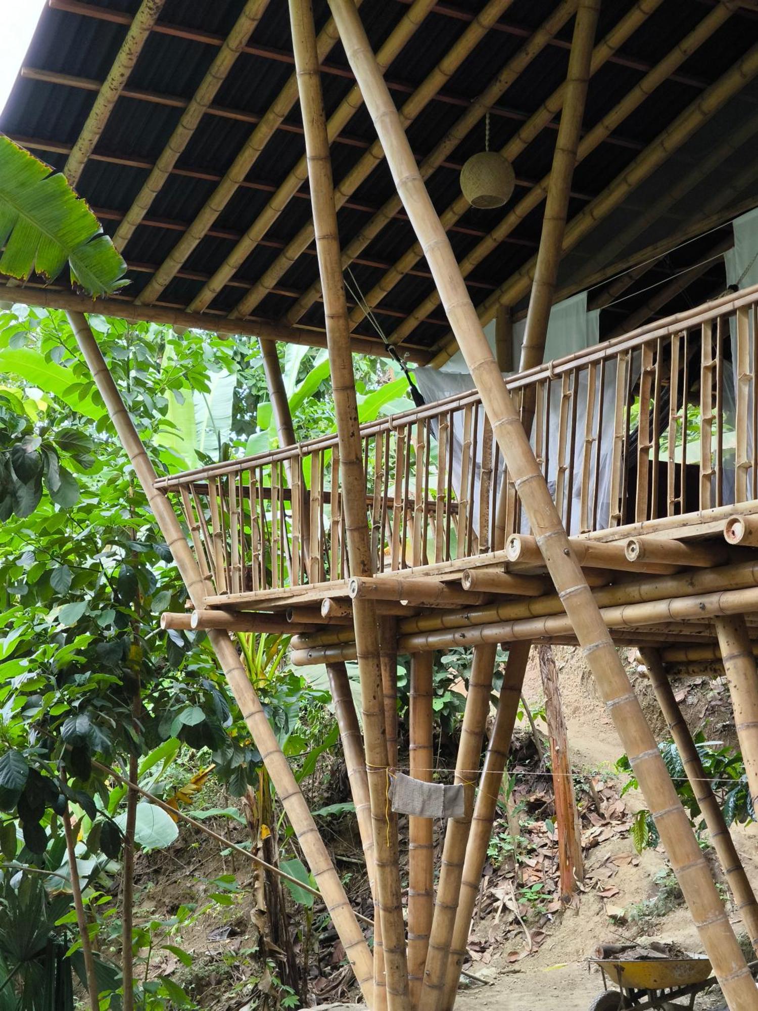 Finca La Selvita Chocolate Experience Buritaca Exterior foto
