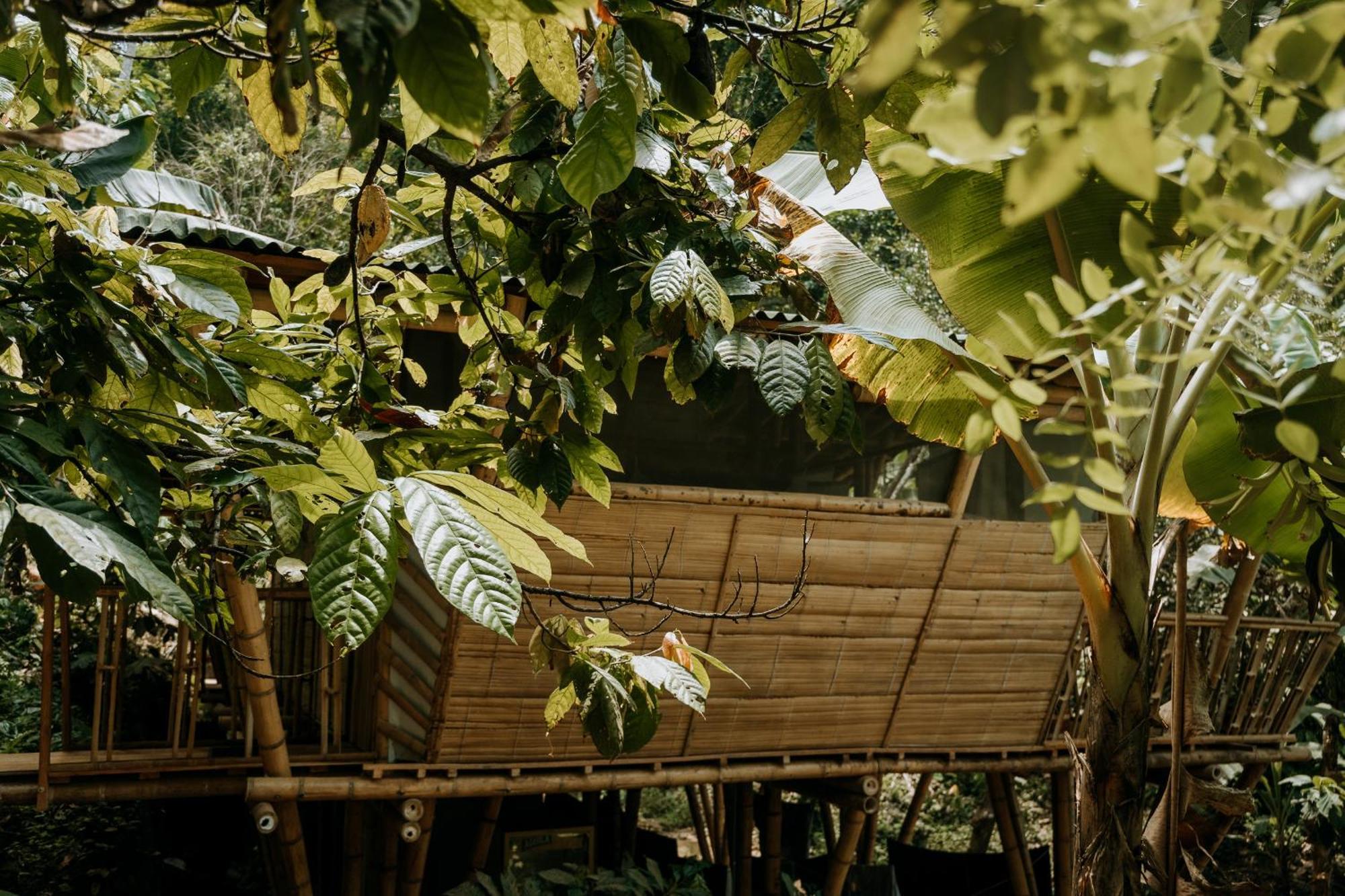 Finca La Selvita Chocolate Experience Buritaca Exterior foto